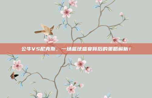 公牛VS尼克斯，一场篮球盛宴背后的策略解析！