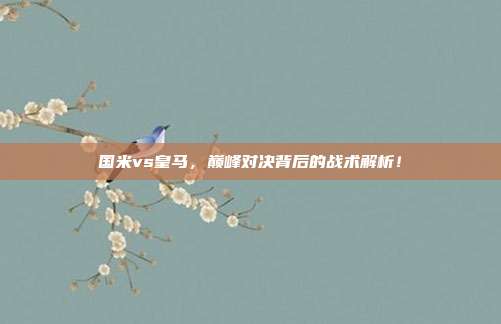 国米vs皇马，巅峰对决背后的战术解析！