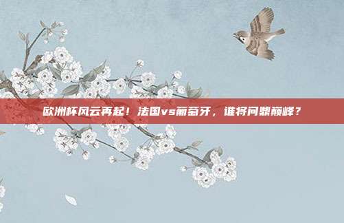 欧洲杯风云再起！法国vs葡萄牙，谁将问鼎巅峰？