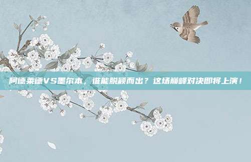 阿德莱德VS墨尔本，谁能脱颖而出？这场巅峰对决即将上演！