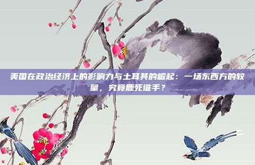 美国在政治经济上的影响力与土耳其的崛起：一场东西方的较量，究竟鹿死谁手？