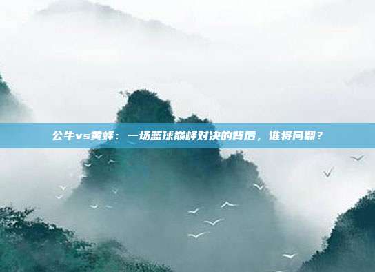 公牛vs黄蜂：一场篮球巅峰对决的背后，谁将问鼎？