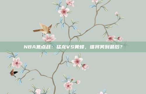 NBA焦点战：猛龙VS黄蜂，谁将笑到最后？
