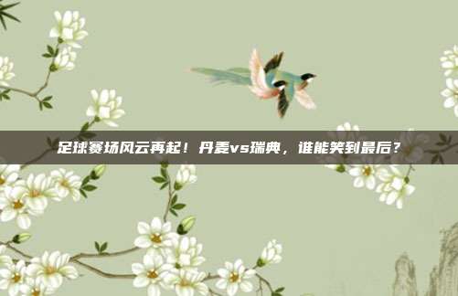 足球赛场风云再起！丹麦vs瑞典，谁能笑到最后？