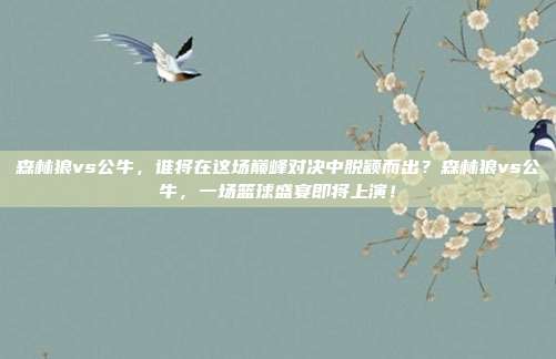 森林狼vs公牛，谁将在这场巅峰对决中脱颖而出？森林狼vs公牛，一场篮球盛宴即将上演！
