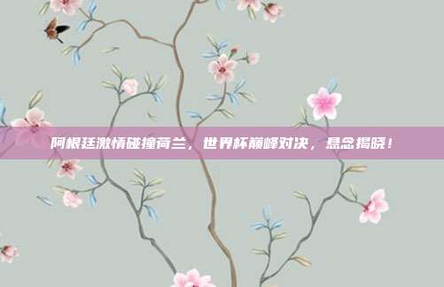 阿根廷激情碰撞荷兰，世界杯巅峰对决，悬念揭晓！