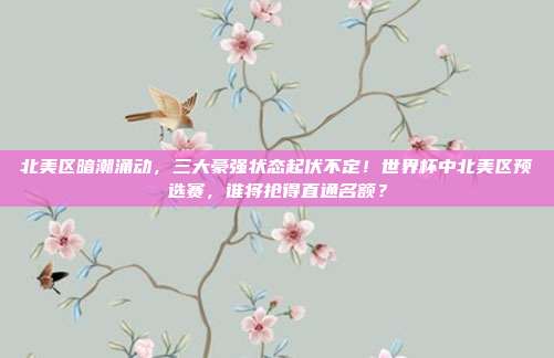 北美区暗潮涌动，三大豪强状态起伏不定！世界杯中北美区预选赛，谁将抢得直通名额？