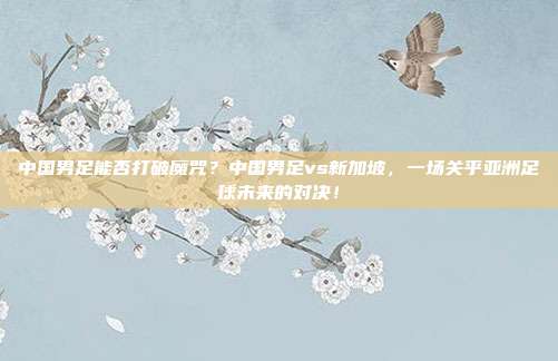 中国男足能否打破魔咒？中国男足vs新加坡，一场关乎亚洲足球未来的对决！