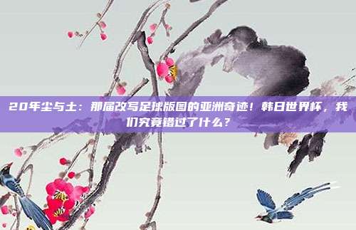 20年尘与土：那届改写足球版图的亚洲奇迹！韩日世界杯，我们究竟错过了什么？