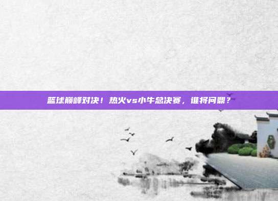 篮球巅峰对决！热火vs小牛总决赛，谁将问鼎？