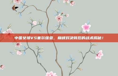 中国女排VS塞尔维亚，巅峰对决背后的战术揭秘！