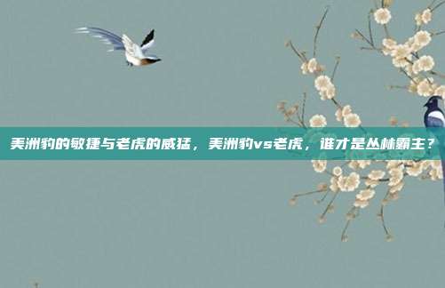 美洲豹的敏捷与老虎的威猛，美洲豹vs老虎，谁才是丛林霸主？