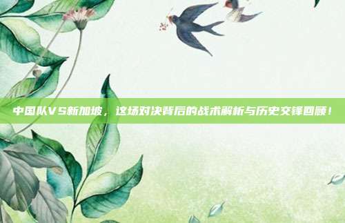 中国队VS新加坡，这场对决背后的战术解析与历史交锋回顾！