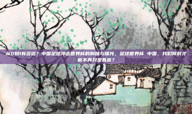 从0到1有多远？中国足球冲击世界杯的荆棘与曙光，足球世界杯 中国，我们何时才能不再只是看客？