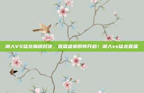 湖人VS猛龙巅峰对决，直播盛宴即将开启！湖人vs猛龙直播