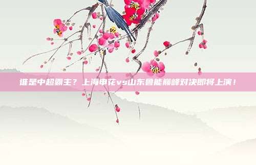 谁是中超霸主？上海申花vs山东鲁能巅峰对决即将上演！