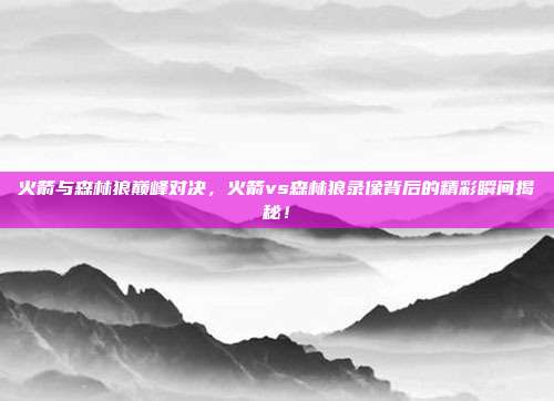 火箭与森林狼巅峰对决，火箭vs森林狼录像背后的精彩瞬间揭秘！