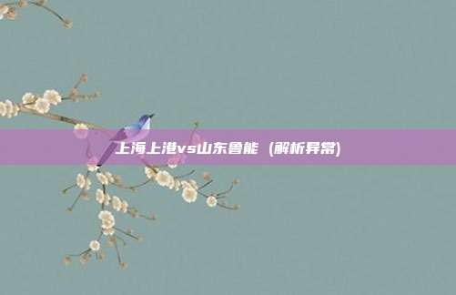 上海上港vs山东鲁能 (解析异常)
