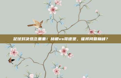 足球对决悬念重重！赫根vs哥德堡，谁将问鼎巅峰？