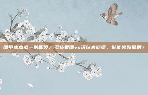 德甲焦点战一触即发！多特蒙德vs沃尔夫斯堡，谁能笑到最后？
