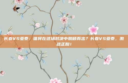 长春VS亚泰：谁将在这场对决中脱颖而出？长春VS亚泰，激战正酣！