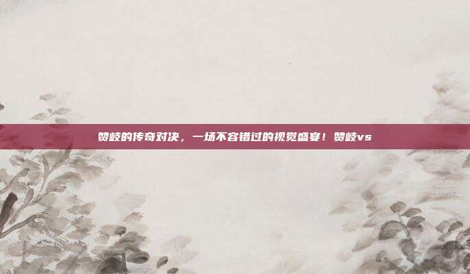 赞岐的传奇对决，一场不容错过的视觉盛宴！赞岐vs