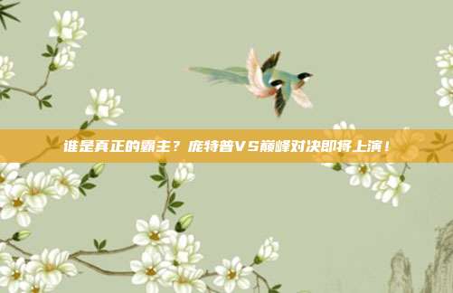 谁是真正的霸主？庞特普VS巅峰对决即将上演！