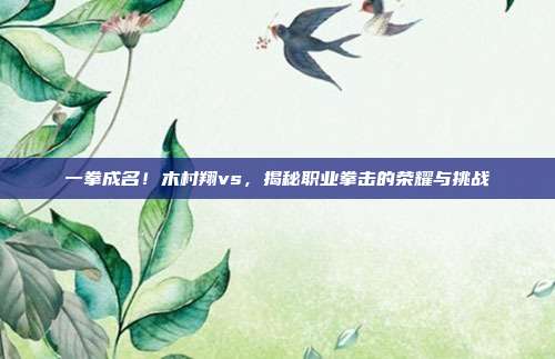 一拳成名！木村翔vs，揭秘职业拳击的荣耀与挑战