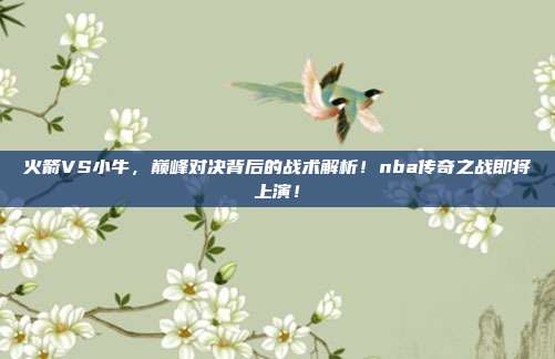 火箭VS小牛，巅峰对决背后的战术解析！nba传奇之战即将上演！
