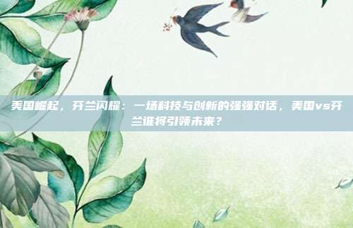 美国崛起，芬兰闪耀：一场科技与创新的强强对话，美国vs芬兰谁将引领未来？