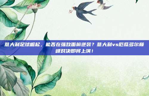 意大利足球崛起，能否在强敌面前逆袭？意大利vs厄瓜多尔巅峰对决即将上演！