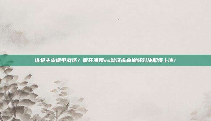 谁将主宰德甲战场？霍芬海姆vs勒沃库森巅峰对决即将上演！