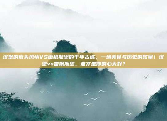 汉堡的街头风情VS雷根斯堡的千年古城，一场美食与历史的较量！汉堡vs雷根斯堡，谁才是你的心头好？