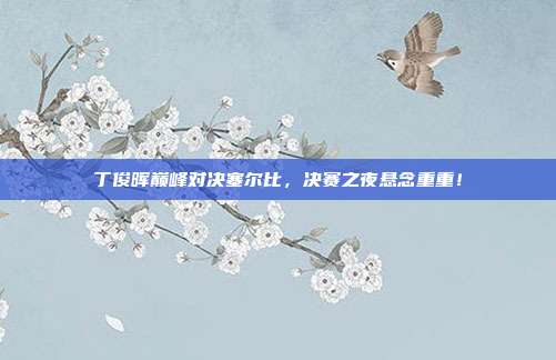 丁俊晖巅峰对决塞尔比，决赛之夜悬念重重！
