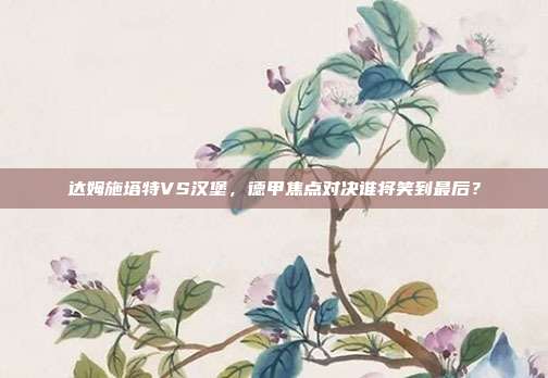 达姆施塔特VS汉堡，德甲焦点对决谁将笑到最后？