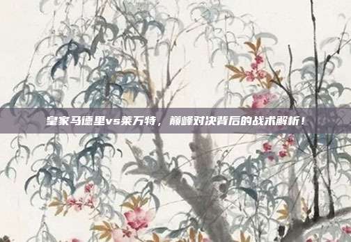 皇家马德里vs莱万特，巅峰对决背后的战术解析！