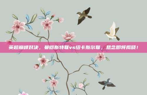 英超巅峰对决，曼彻斯特联vs纽卡斯尔联，悬念即将揭晓！