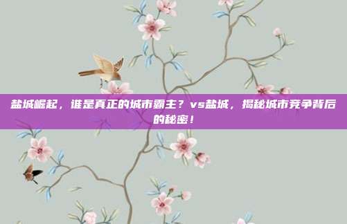 盐城崛起，谁是真正的城市霸主？vs盐城，揭秘城市竞争背后的秘密！