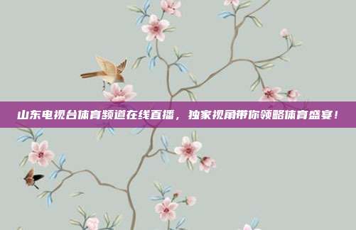 山东电视台体育频道在线直播，独家视角带你领略体育盛宴！