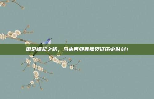 国足崛起之路，马来西亚直播见证历史时刻！