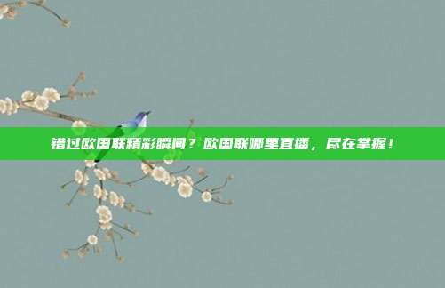 错过欧国联精彩瞬间？欧国联哪里直播，尽在掌握！