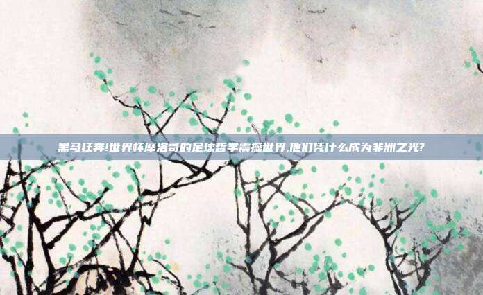 黑马狂奔!世界杯摩洛哥的足球哲学震撼世界,他们凭什么成为非洲之光?