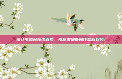 宿迁电视台在线直播，揭秘本地新闻传播新趋势！