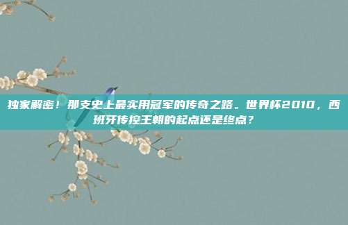 独家解密！那支史上最实用冠军的传奇之路。世界杯2010，西班牙传控王朝的起点还是终点？