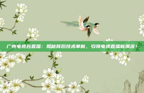 广州电视台直播：揭秘背后技术革新，引领电视直播新潮流！
