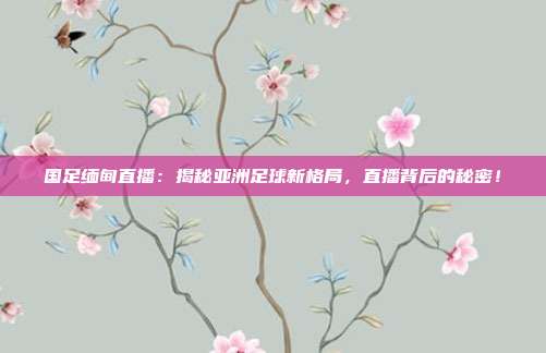 国足缅甸直播：揭秘亚洲足球新格局，直播背后的秘密！