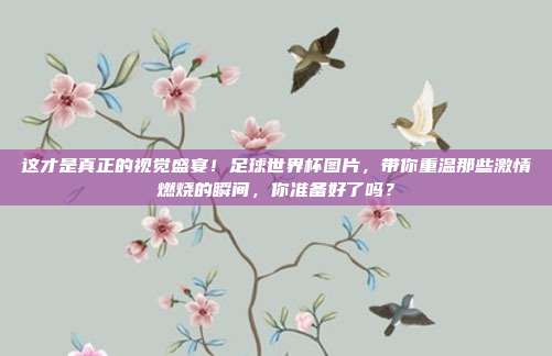 这才是真正的视觉盛宴！足球世界杯图片，带你重温那些激情燃烧的瞬间，你准备好了吗？