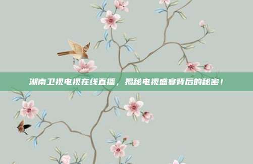 湖南卫视电视在线直播，揭秘电视盛宴背后的秘密！