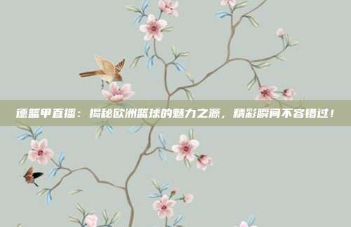 德篮甲直播：揭秘欧洲篮球的魅力之源，精彩瞬间不容错过！