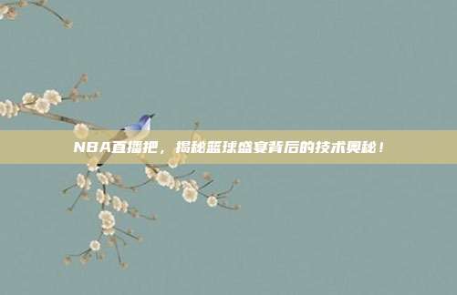 NBA直播把，揭秘篮球盛宴背后的技术奥秘！